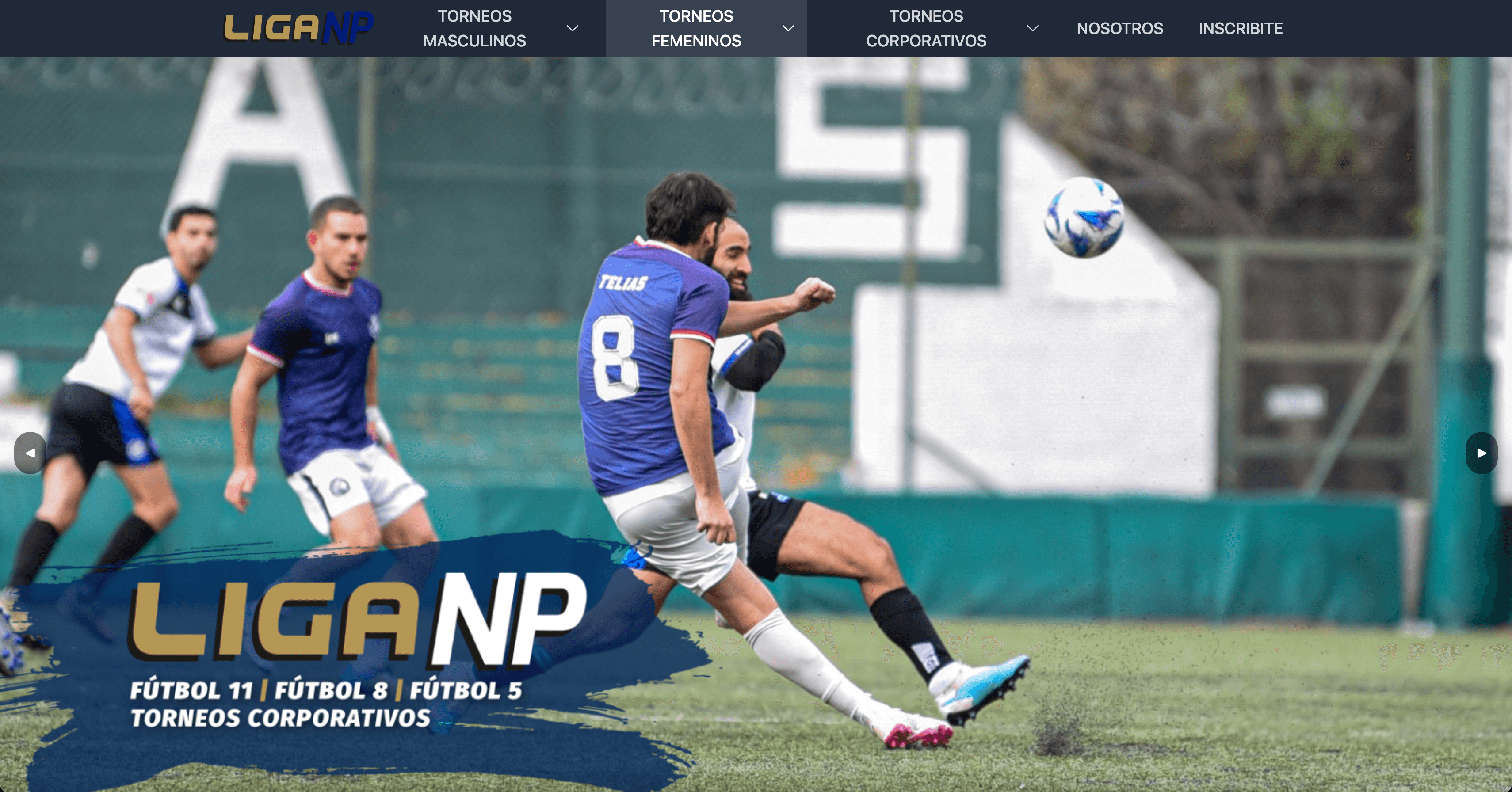 Proyecto NP TORNEOS